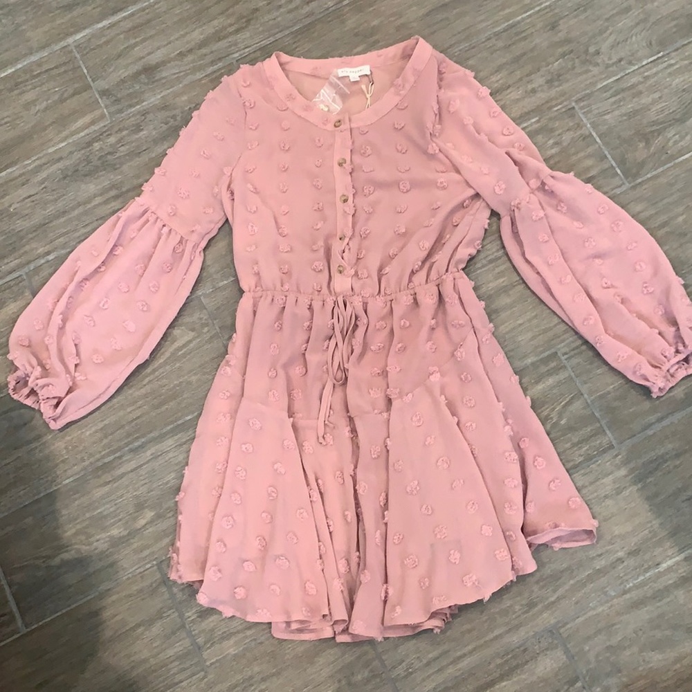 NWT blush Swiss dot long sleeve dress